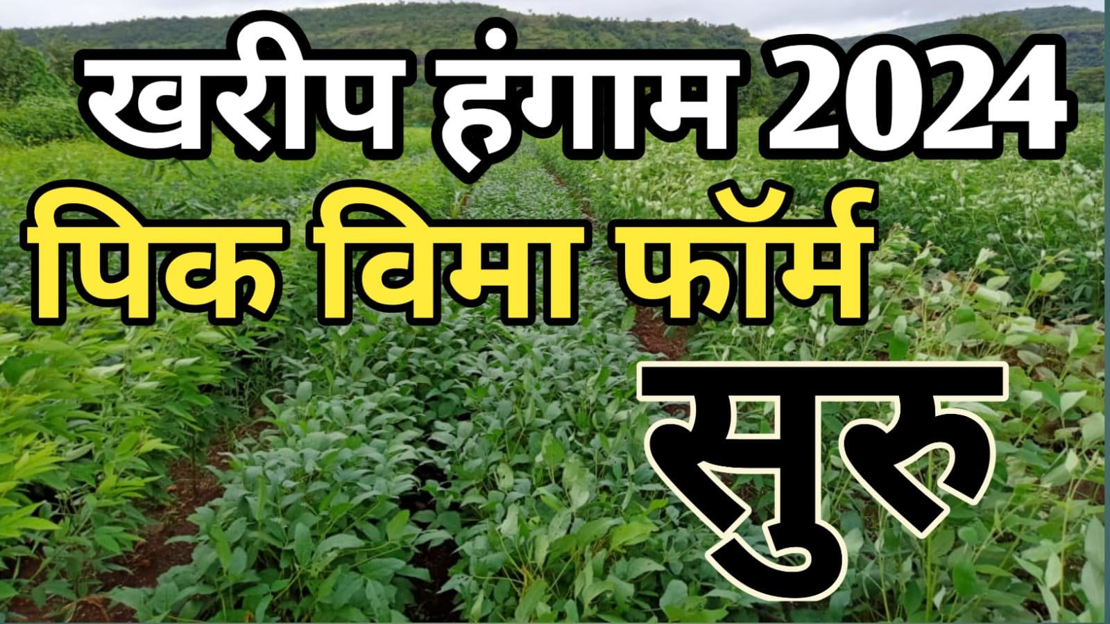 Kharip Pik Vima Arj 2024