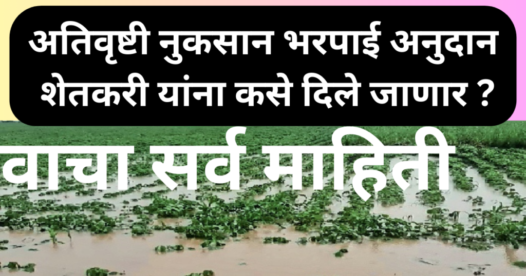 ativrushti nuksan bharpai 2024